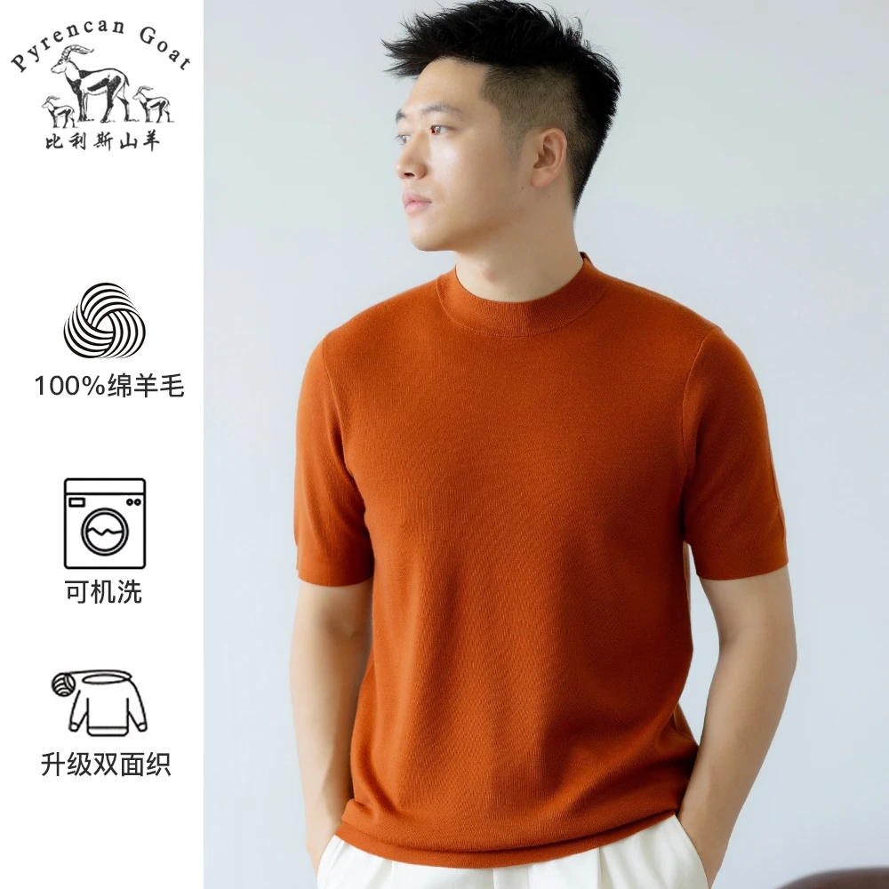 -美丽诺纯羊毛- 双面织可机秋季男士纯色针织圆领短袖T恤