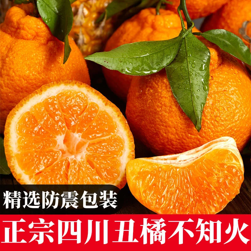 四川丑橘不知火丑柑丑八怪耙耙柑新鲜孕妇当季水果丑桔子柑橘批发