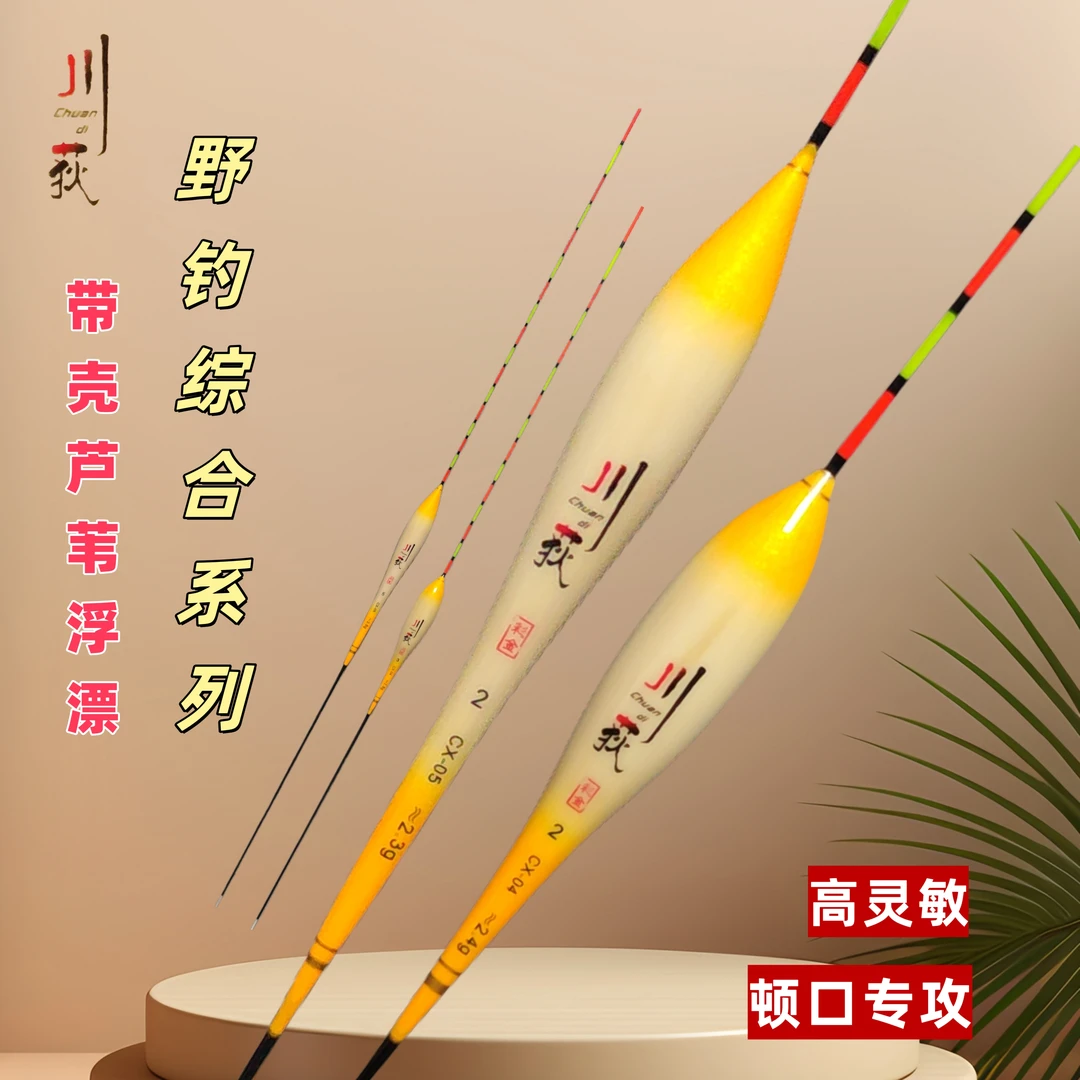 川荻带壳芦苇浮漂C08/A62漂型顿口王正宗高灵敏醒目加粗尾鱼漂