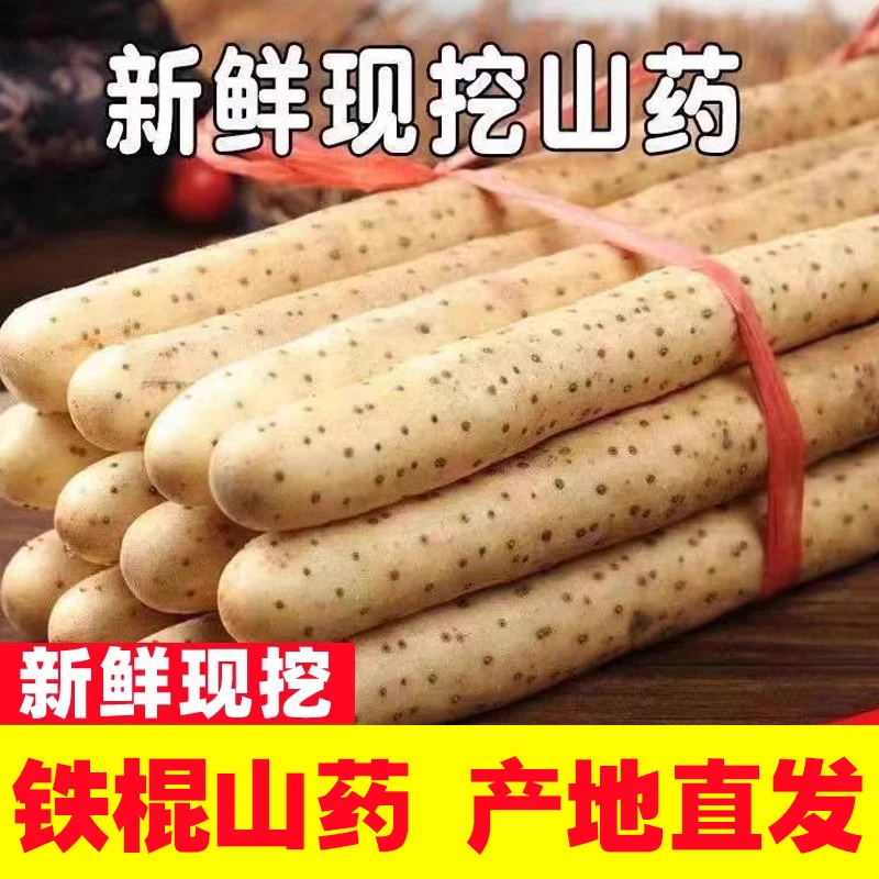 正宗河南焦作温县铁棍山药5斤怀山药现挖新鲜垆土铁柜山药淮山药
