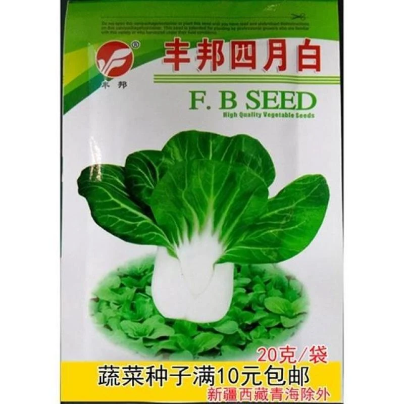 丰邦四月白青菜种子宽白梗小青菜白菜种籽20克/袋春秋播蔬菜种子