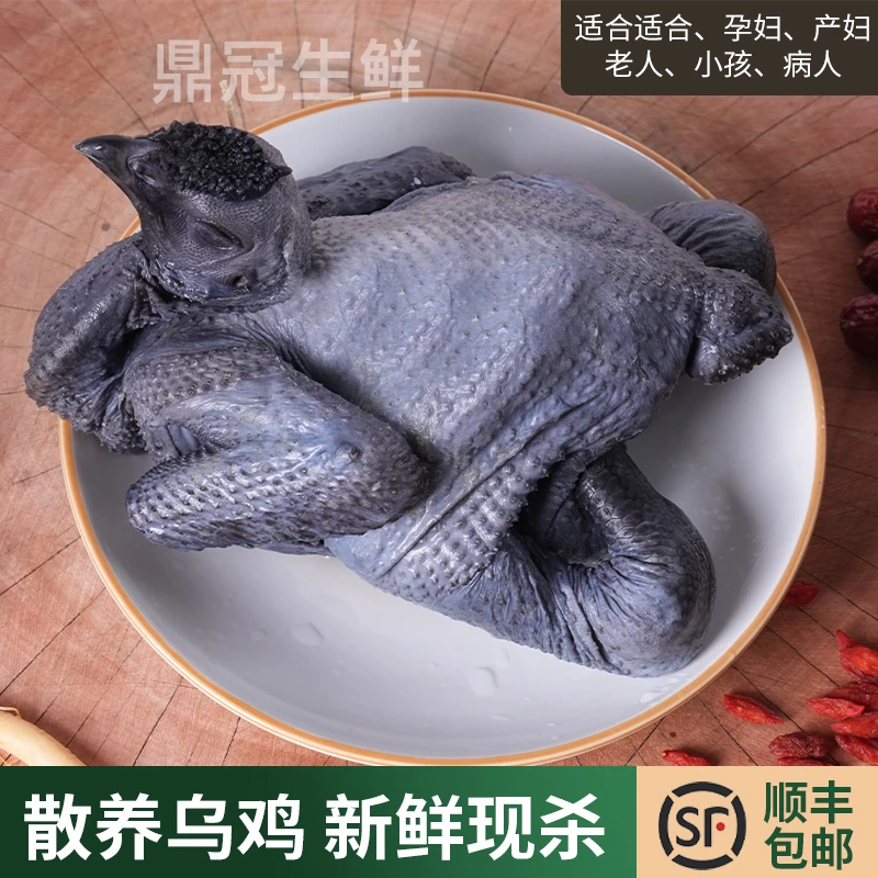 【一只装白凤乌鸡】园林散养当天现杀净膛净重2斤•送人参再送菌汤包