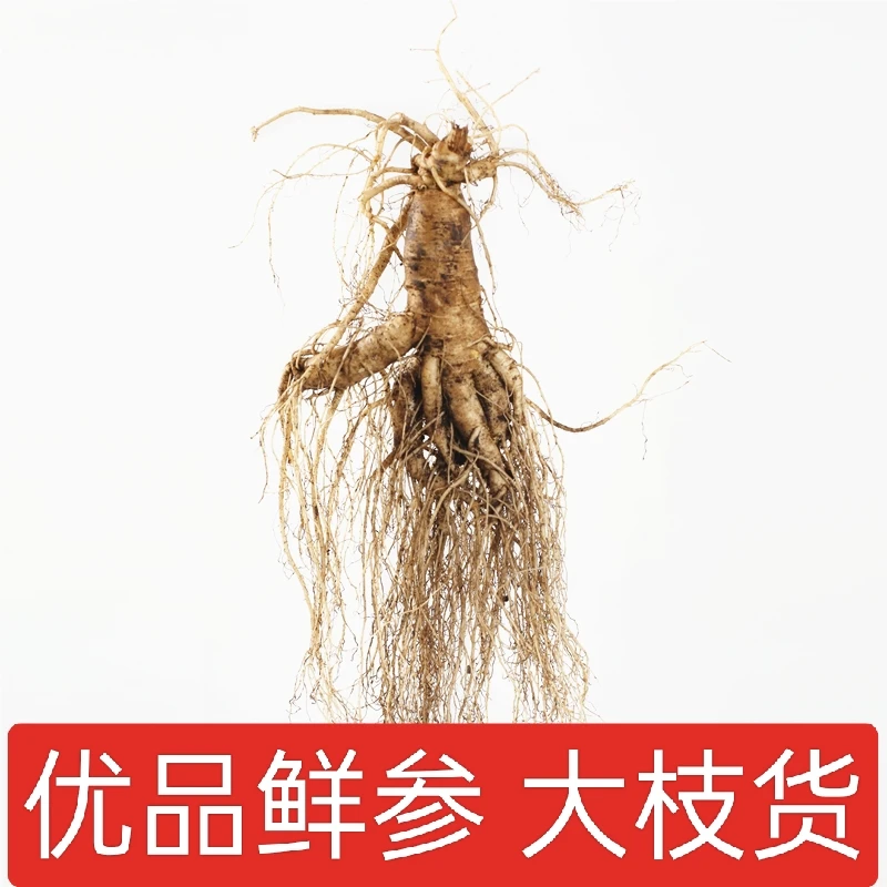 源产地长白山 优品鲜叁 净重50/100/250/500g/支 农产品