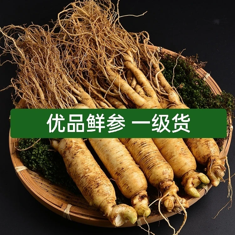 源产地长白山 优品鲜叁 优品货 净重250/500g 农产品