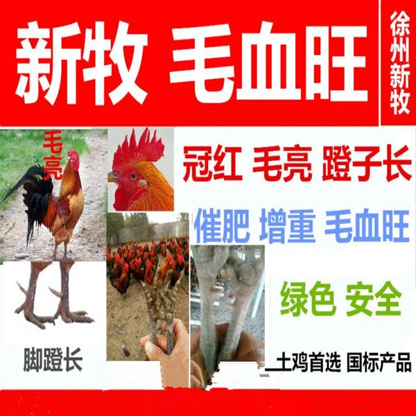 毛血旺饲料冠红毛亮蹬子长鸡冠子小不红长长脚蹬子