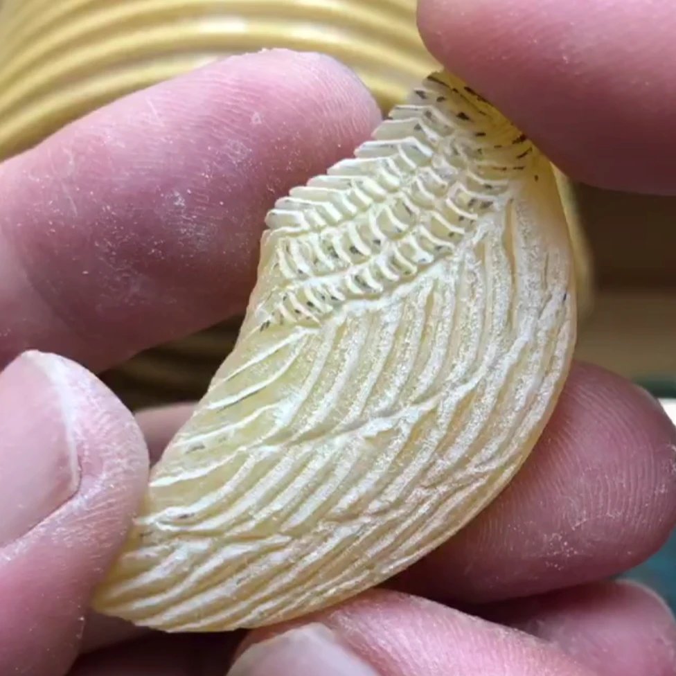 天使之翼蜜蜡原石加工定制手工雕刻天然原矿