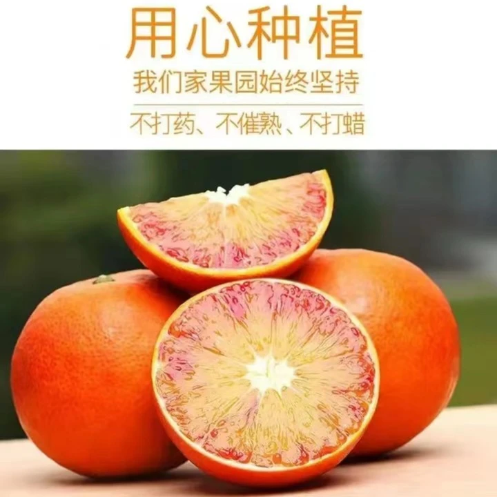 现摘玫瑰血橙新鲜橙子水果塔罗科雪橙重庆红心9斤-19斤香甜