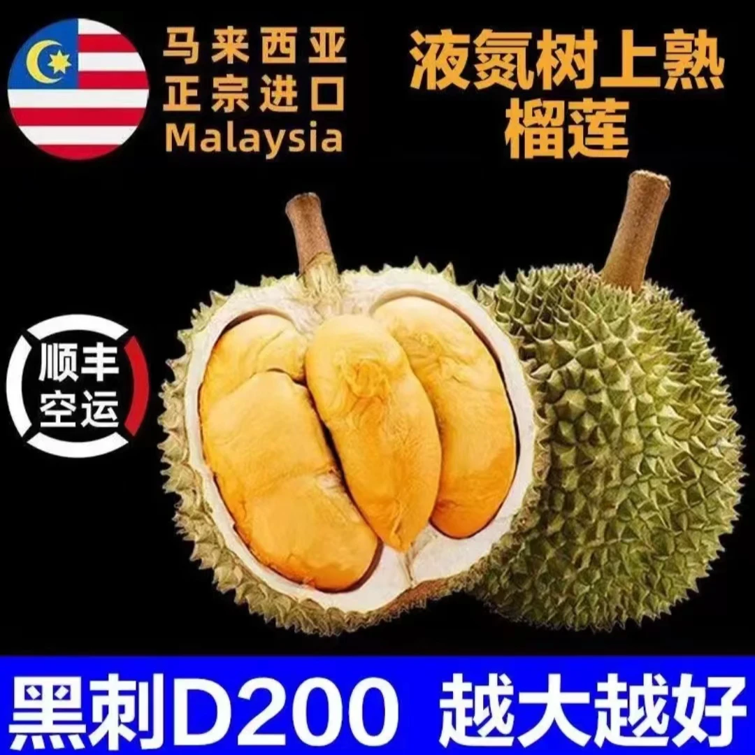 2号（一物一拍）D200黑刺榴莲液氮冷冻新鲜水果进口树熟