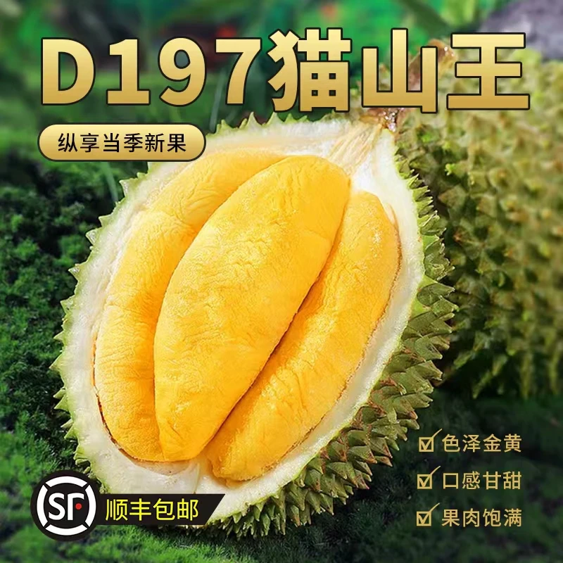 D197马来西亚进口液氮冷冻树熟榴莲