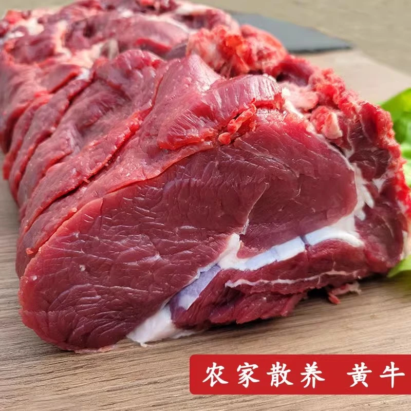 郭大胆家新鲜牛吊龙  草原溜达牛 新鲜不注水