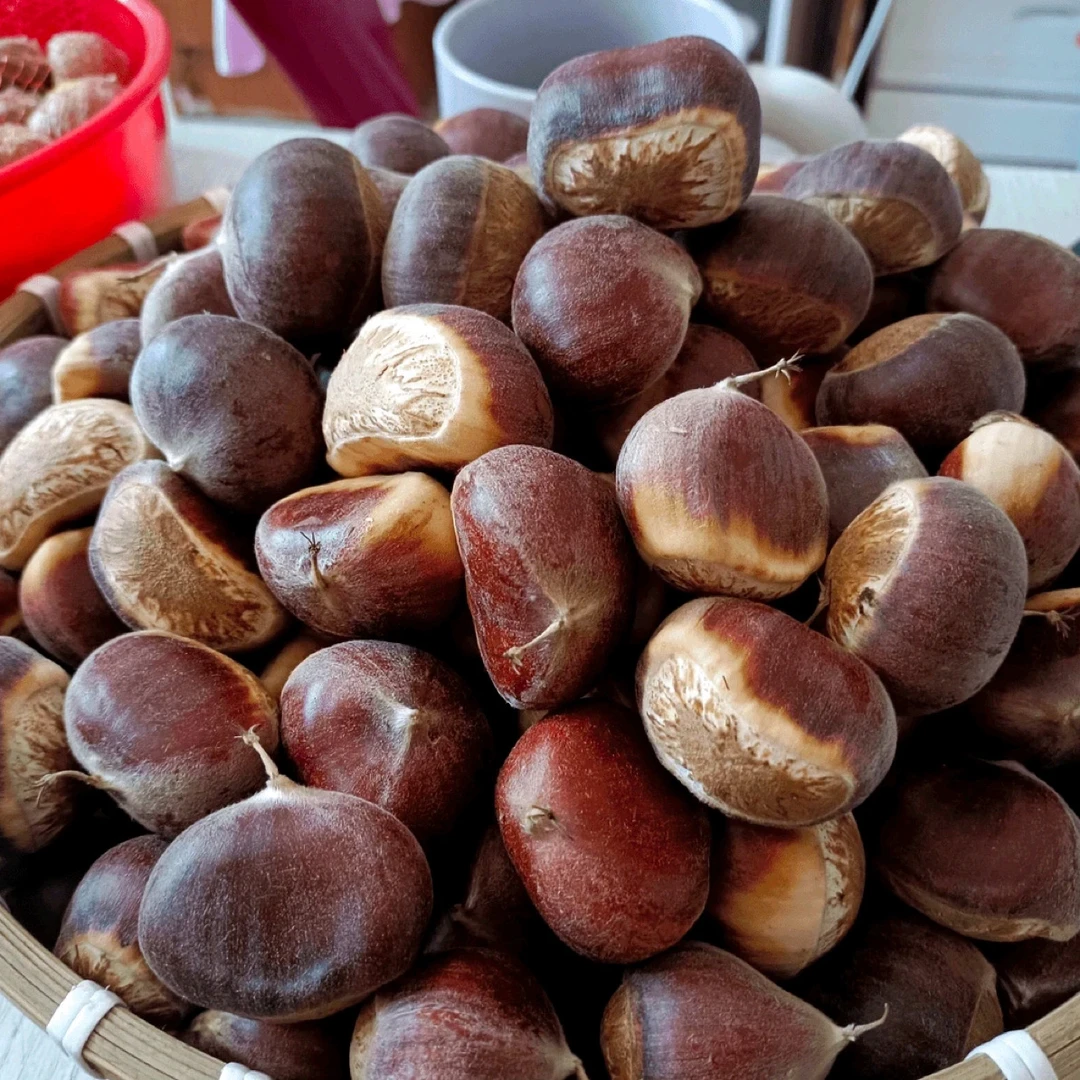 【 大别山带壳板栗】2025年老树生板栗生吃香脆可口软糯香甜