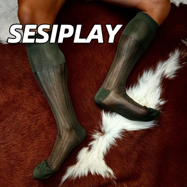 SESIPLAY福尔摩斯 秘境 男士绅装丝袜锦纶商务正装中长筒丝袜