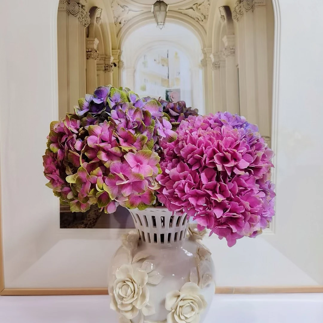 绣球鲜切花云南基地直供室内水养花艺插花精品好看绣球系列