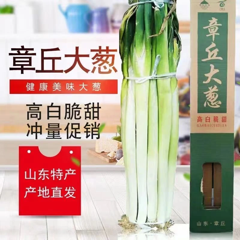 山东特产章丘大葱 新鲜大葱 甜葱2500g*1盒特产