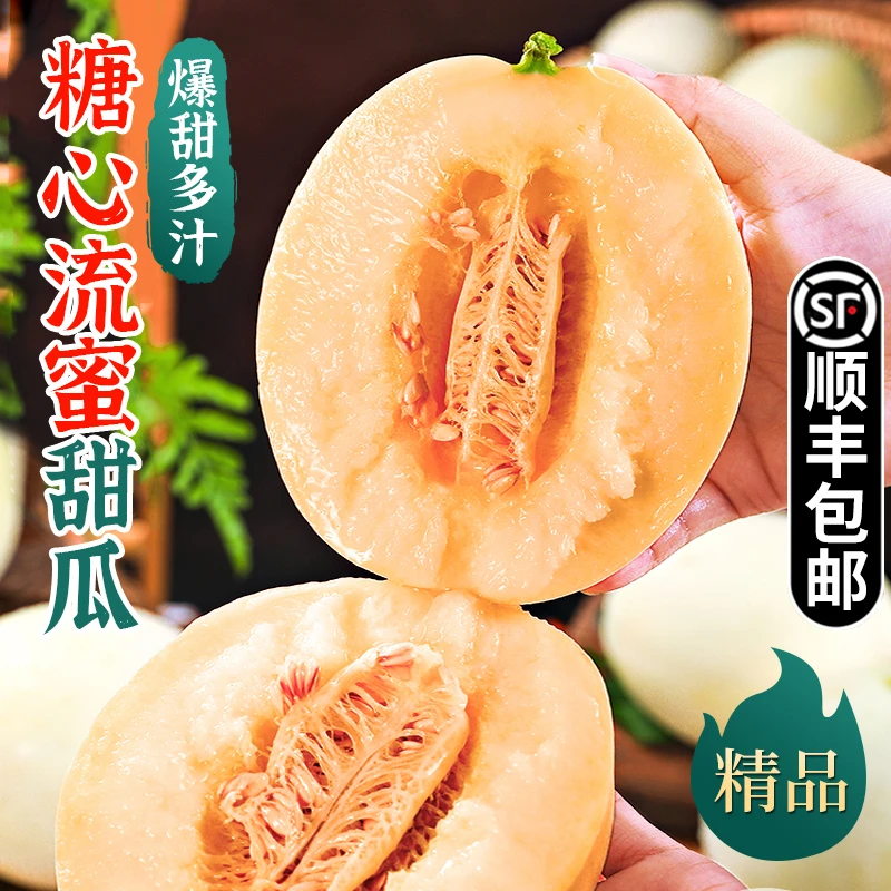 【顺丰包邮】山东正宗蜜罐甜瓜4.5-5斤初夏脆甜香瓜头茬鲜水果产地