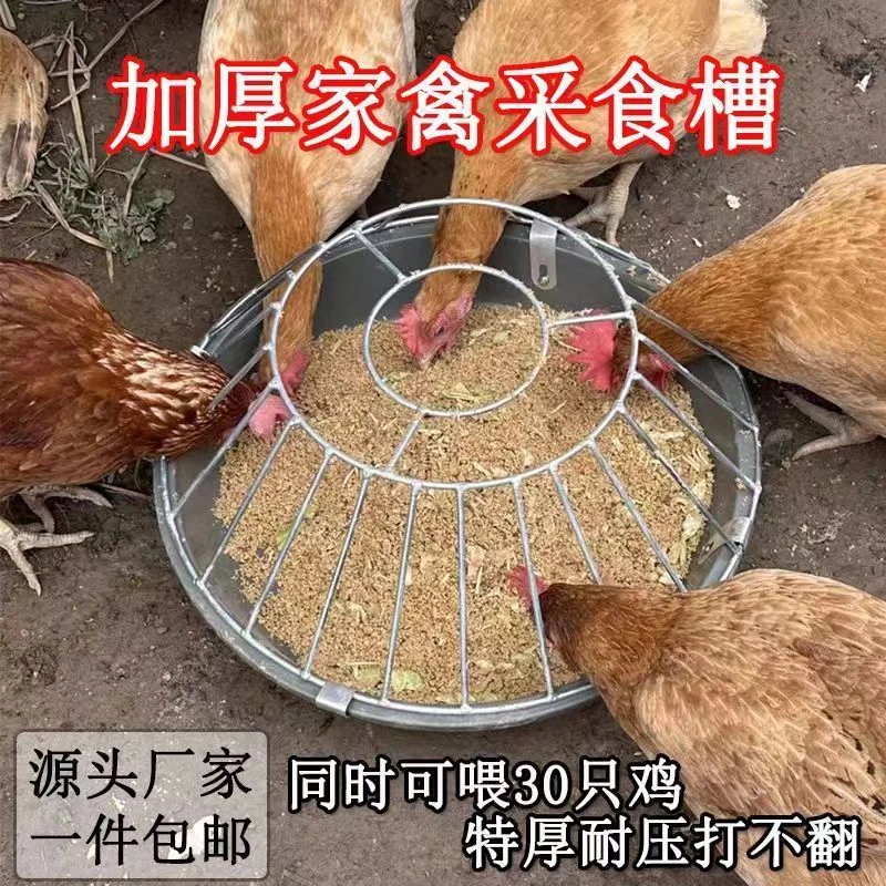 【牛筋料盆】新款鸡鸭鹅采食槽加厚牛筋喂料盆环保耐摔耐磨自由采食