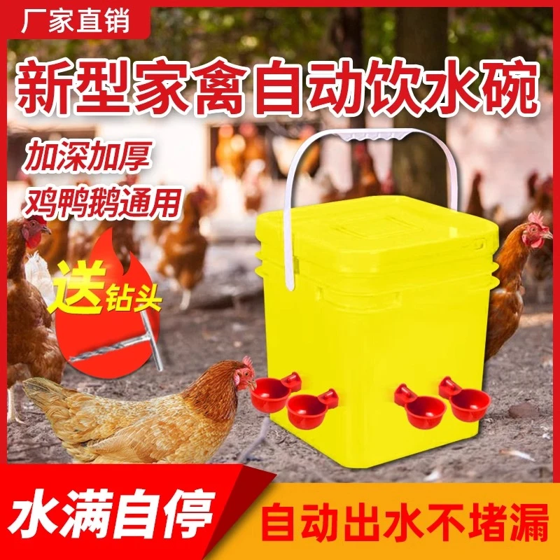养鸡用自动饮水器鸡鸭鹅饮水碗喝水碗鹌鹑家禽鸟小鸡喂食神器养殖