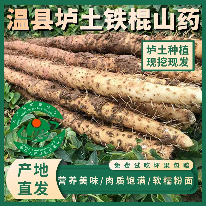 正宗河南焦作垆土铁棍山药怀山药新鲜营养健康
