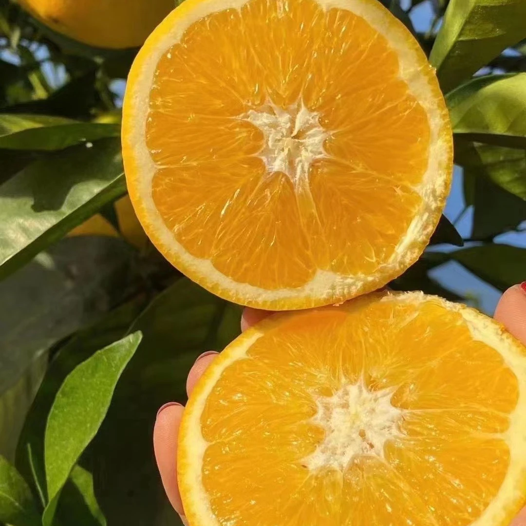 正宗赣南脐橙 甘甜多汁橙香浓郁 现摘现发 多规格可选