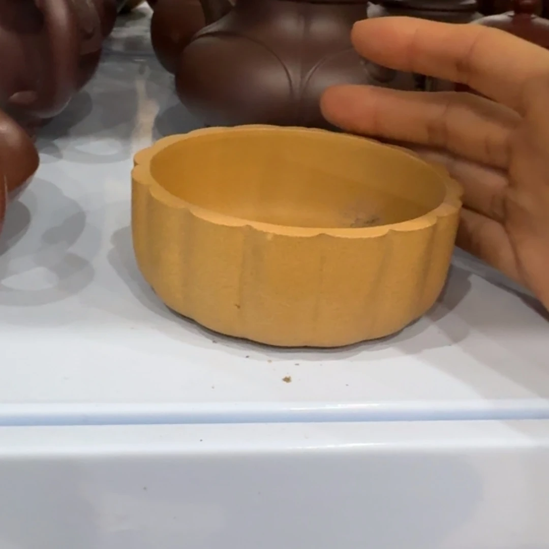 【闪购商品】紫砂紫砂