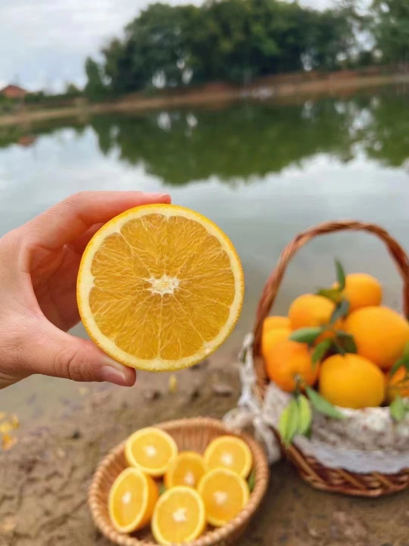 【20斤装花皮果】赣南脐橙零添加果园现采现发 皮薄肉嫩 汁多味浓