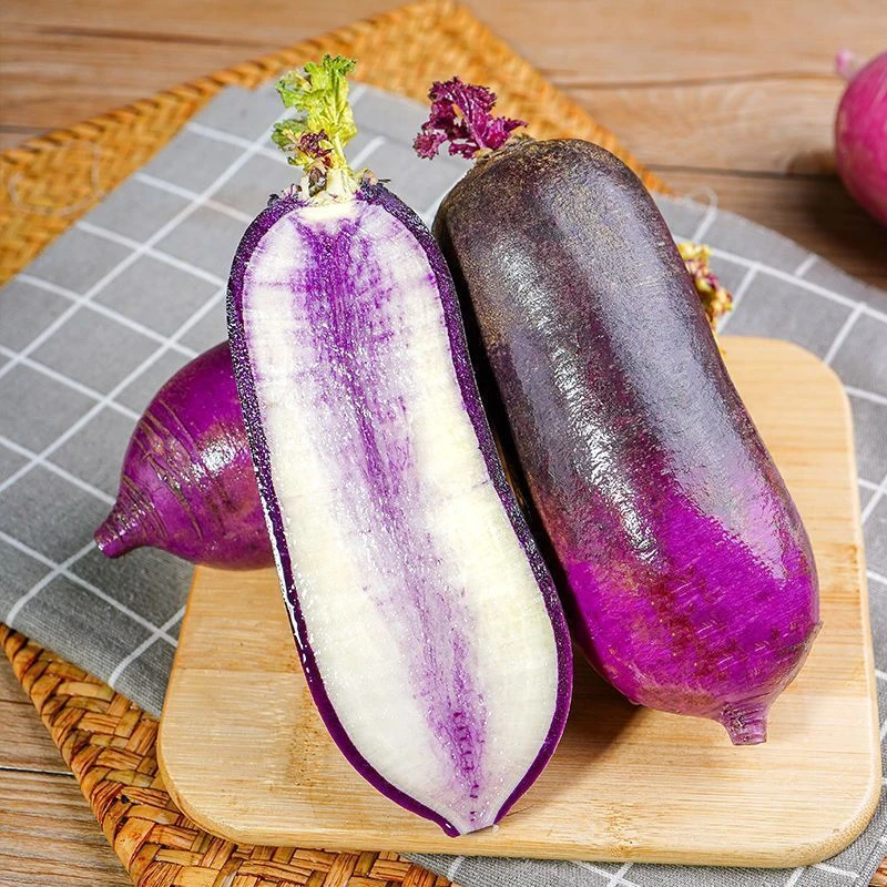 冰激凌水果萝卜种子 秋冬种籽紫皮冰淇淋水果罗卜种严选栽培高产