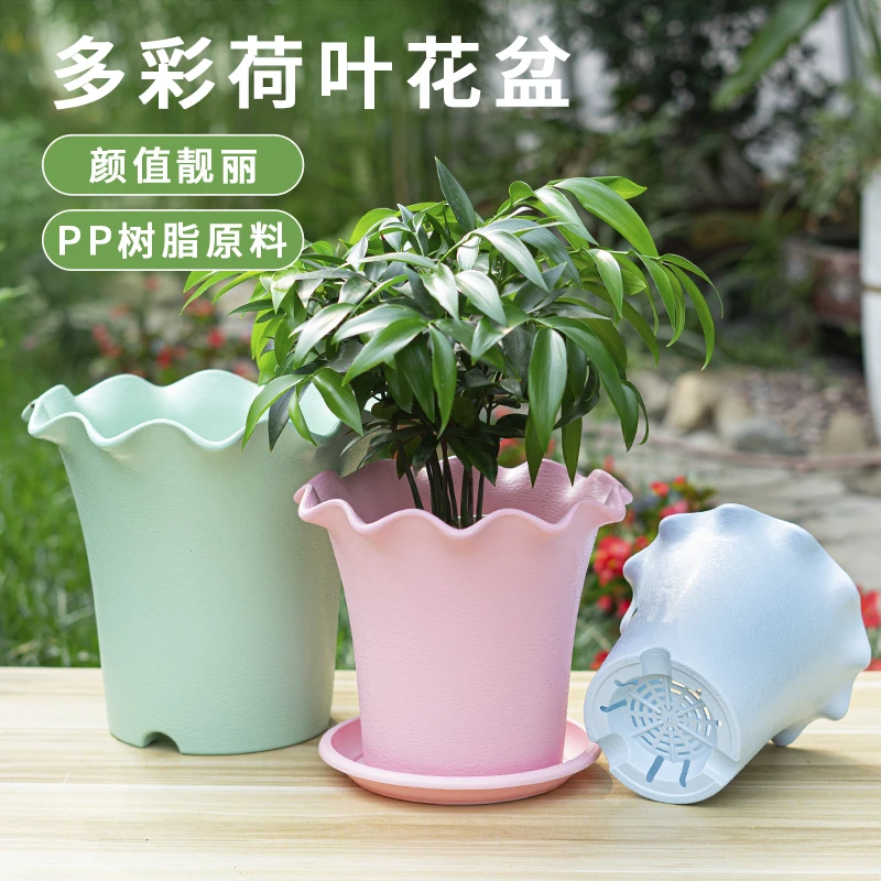 【秋日限定5004十个装】中天广源彩色荷叶边树脂抗摔耐造抗晒花盆