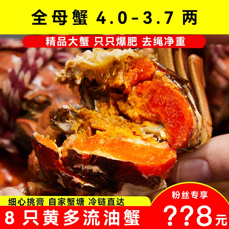 【活蟹】全母蟹4.0-3.7两8只兴化大闸蟹养殖现货鲜活京东冷链直达