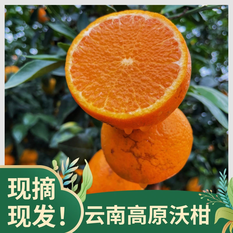 云南高原沃柑香甜暴汁皮薄肉厚新鲜采摘净重9斤