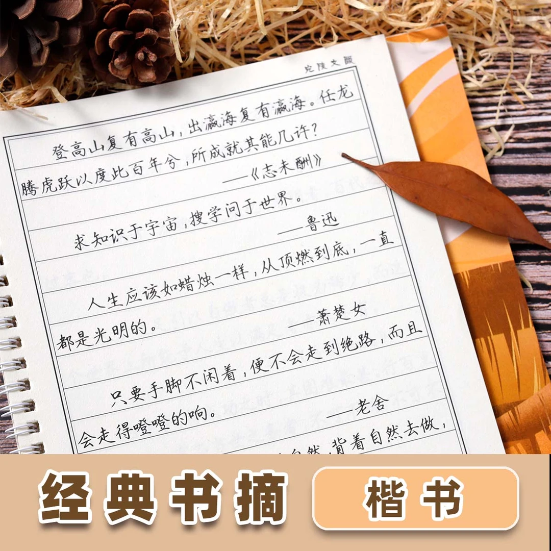 奶酪体字帖女生简约大气行楷楷书行书成人大学生练字连笔行草