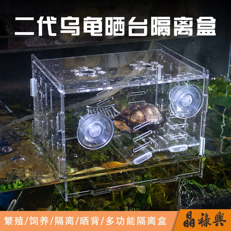 乌龟不冬眠发色盒鱼缸内亚克力晒台隔离盒吸盘孵化器白色透明黑色