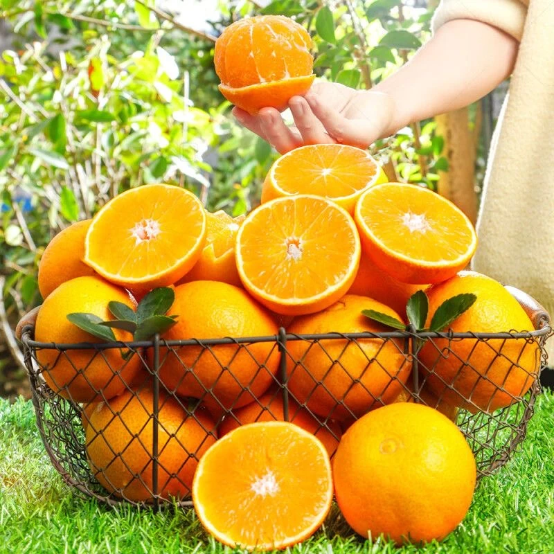 【双11活动】应季水果10斤装正宗赣南脐橙产地直发精品果波薄多汁