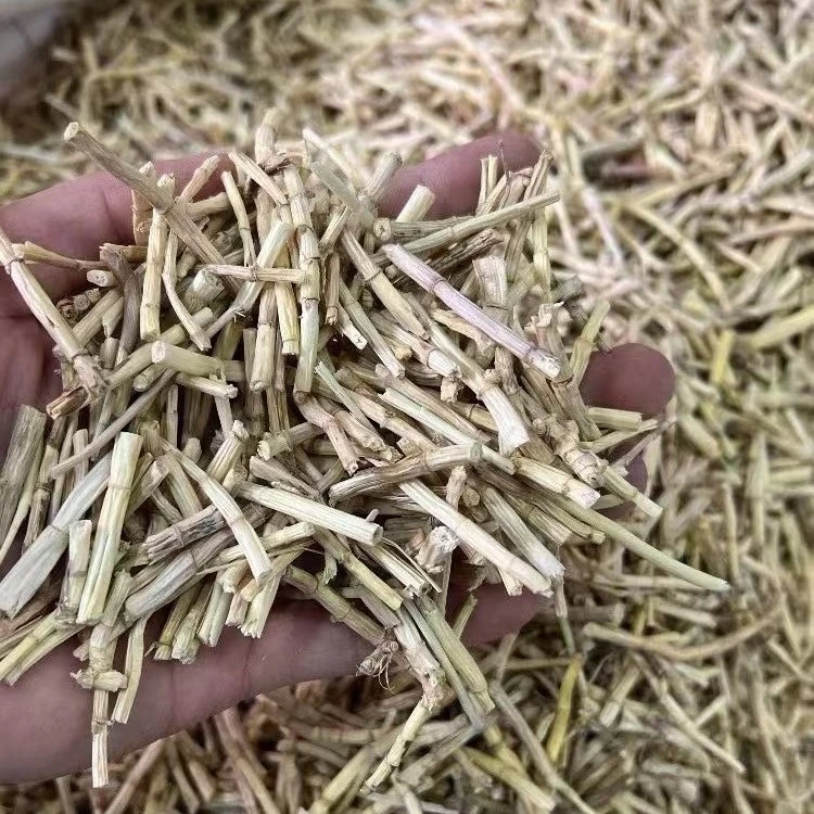 御膳 茅根 广东汕头