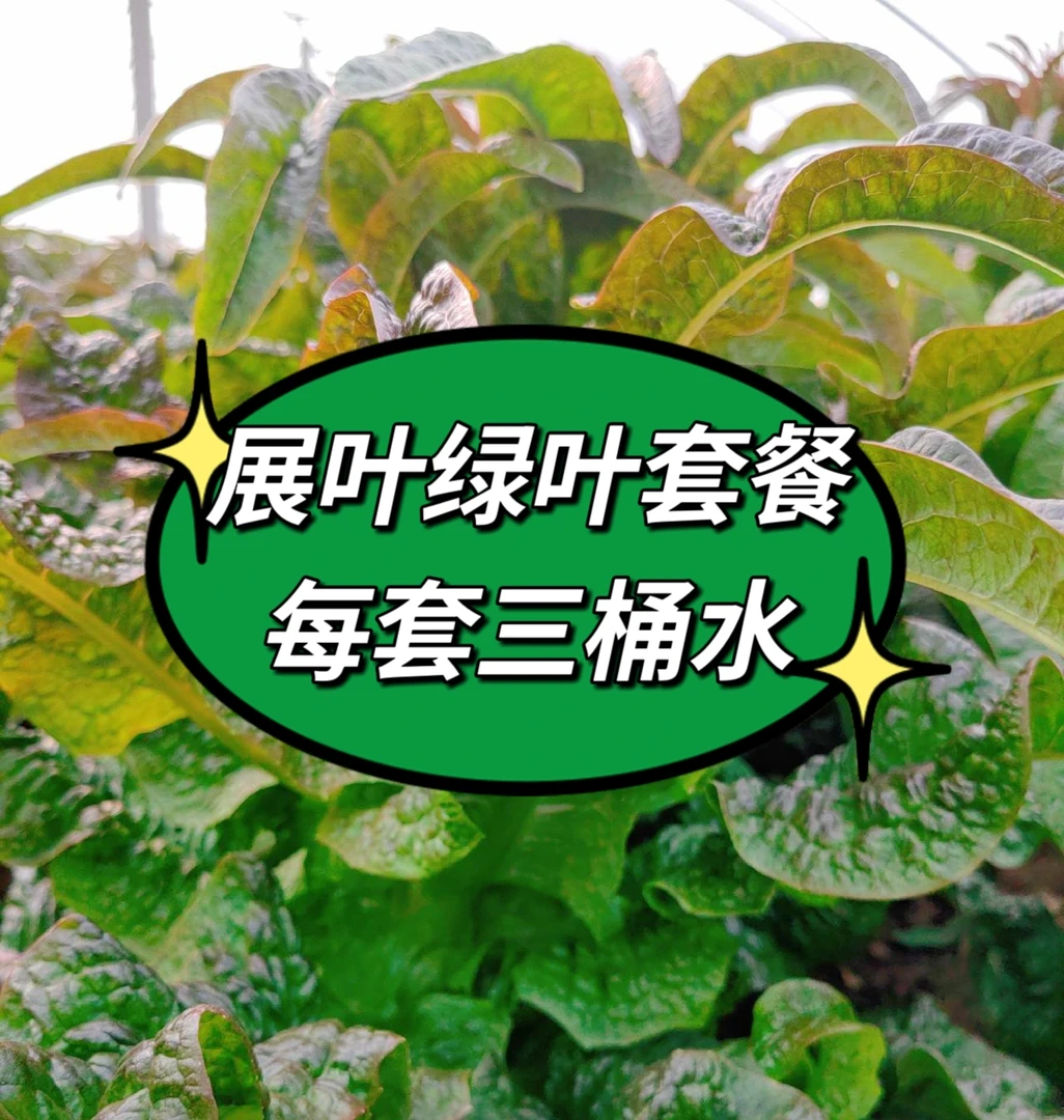 展叶、绿叶套餐，每套三桶水