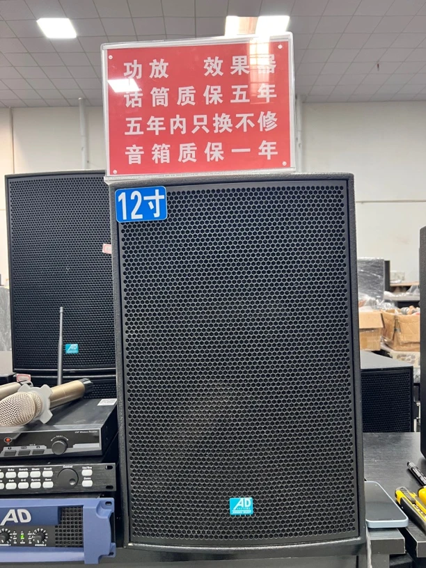 德国AD，12寸➕功放➕效果器➕话筒，不包邮