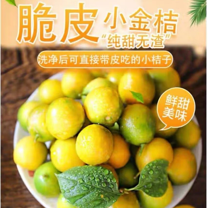 【纯甜无酸】广西高山脆皮金桔3/5斤装坏果包赔应季水果孕妇水果