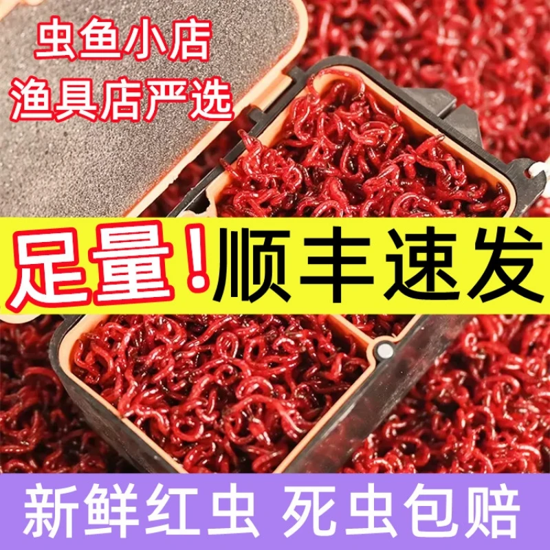 拉饵钓渔特大号挂钩饵料渔饵