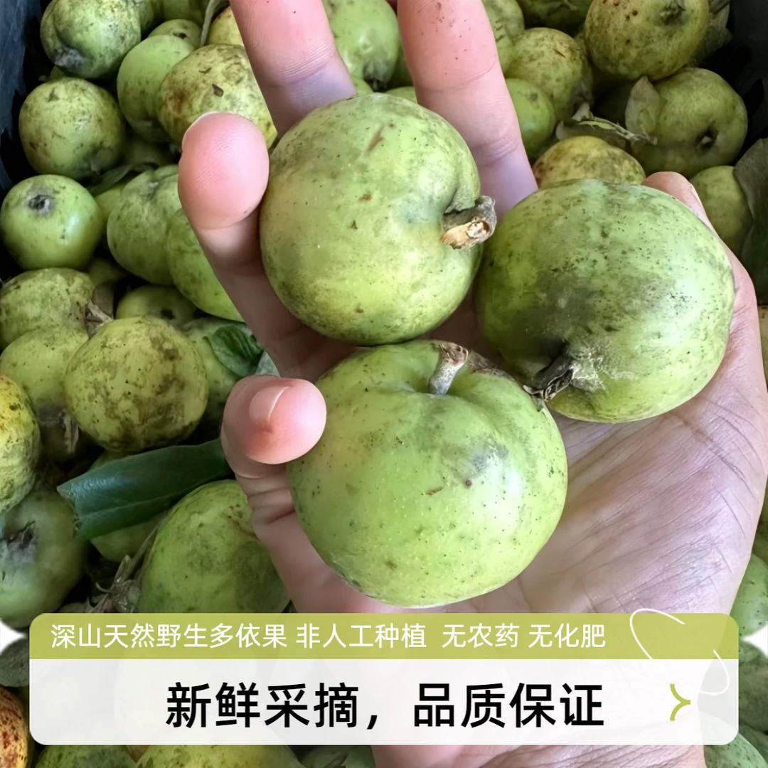 特产野果酸涩果子渣子果孕妇水果酸木瓜云南特产土特产云南无添加