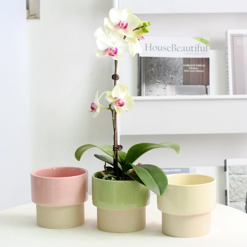 北欧简约创意陶瓷花盆清新ins彩色室内多肉盆栽兰花蝴蝶兰专用