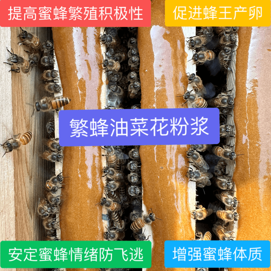 花粉浆繁蜂用蜂粮 捕蜂哥调制油菜花粉膏促进蜂王产卵 增加营养