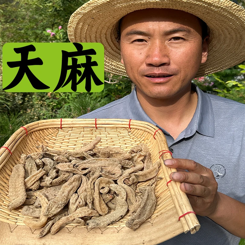 《天麻》甘肃大山多年生天麻整个的可带打粉包邮