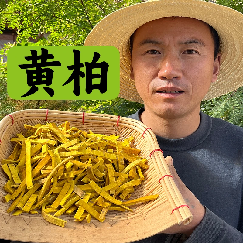 《黄柏》四川黄柏多年生老树皮双面黄已切条包邮