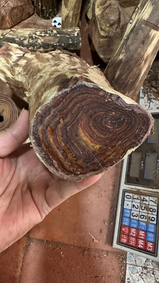 海南黄花梨 手串1.1*12 定制款