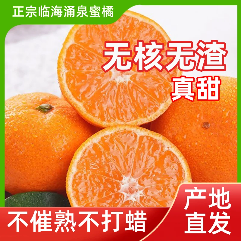 【正宗涌泉蜜桔】临海核心产区高山种植无核蜜桔果肉无渣新鲜水果