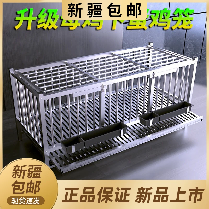 新疆西藏包邮鸡笼子家用下蛋养殖笼大号特大不锈钢鸡笼自动滚蛋出