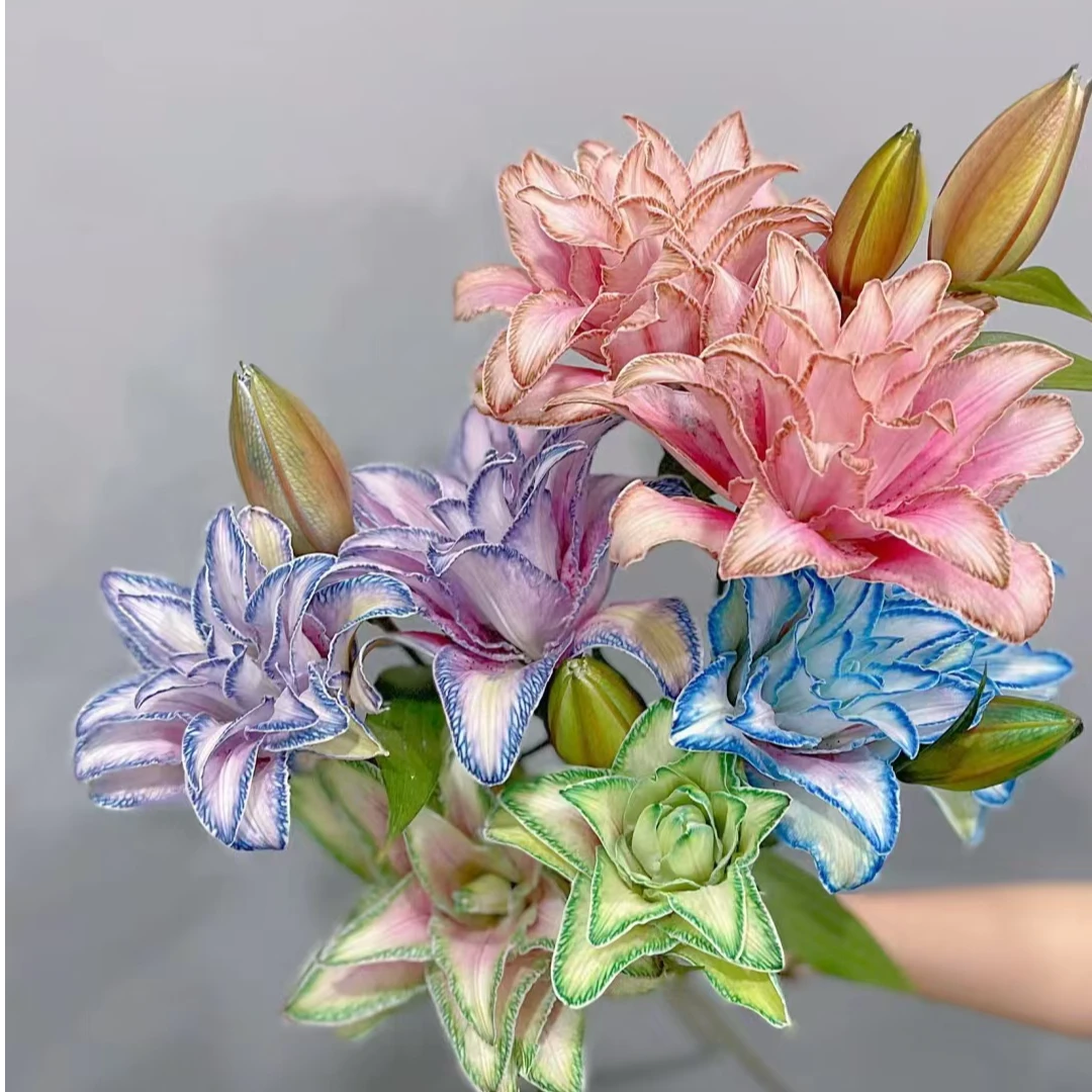 【MUMU】吸色百合花吸染清香型浪漫鲜花渐变感家用礼品办公室