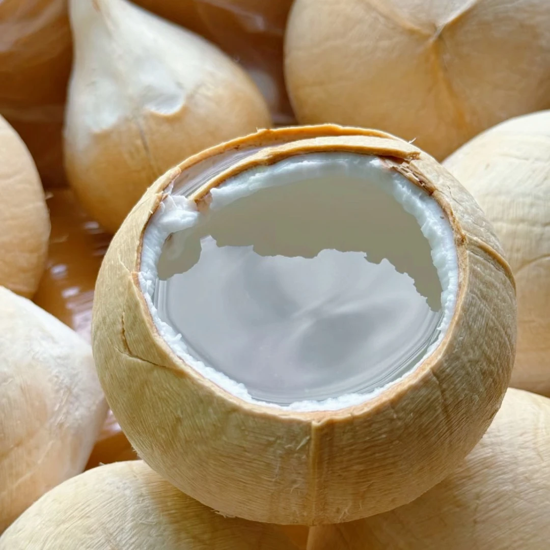 【顺丰包邮】泰国牛奶椰皇2个起新鲜老椰子奶椰椰宝单果300g起