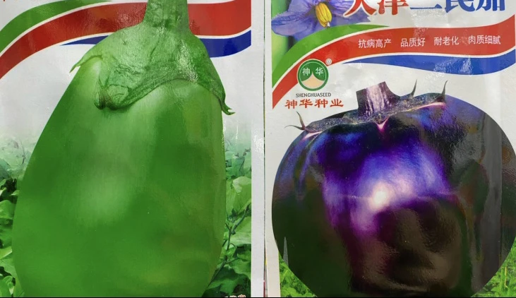 绿园茄子紫茄子组合