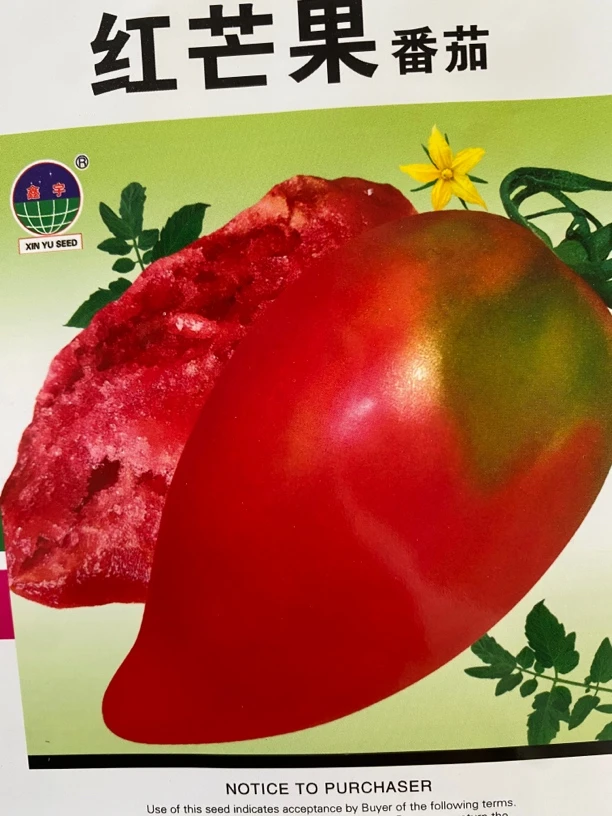 红芒果柿子100粒