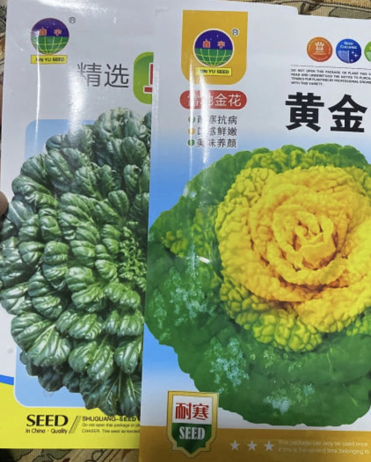 乌塌菜菜籽(种籽)